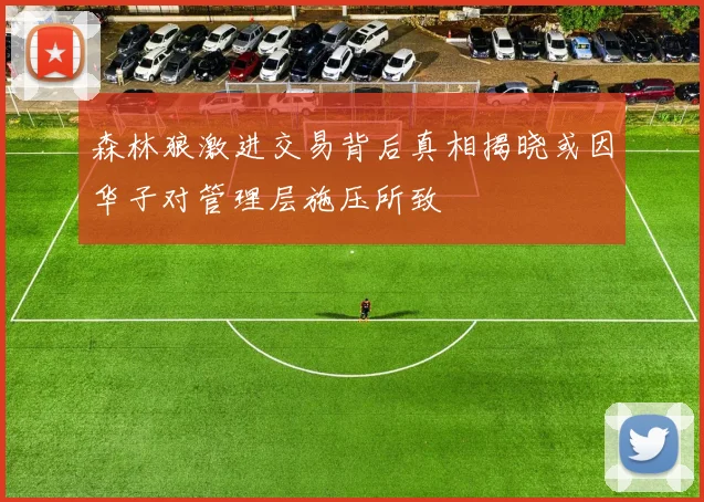 森林狼激进交易背后真相揭晓或因华子对管理层施压所致